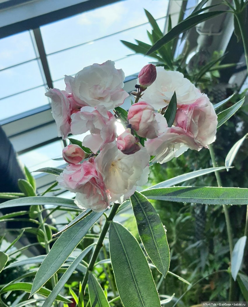 В Тверь пришла Весна — Туризм и путешествия: фотоотчеты из поездок