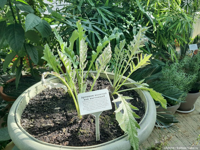 В Тверь пришла Весна — Туризм и путешествия: фотоотчеты из поездок