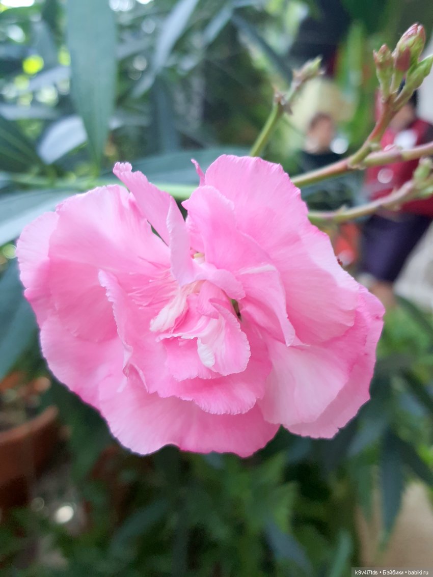 В Тверь пришла Весна — Туризм и путешествия: фотоотчеты из поездок