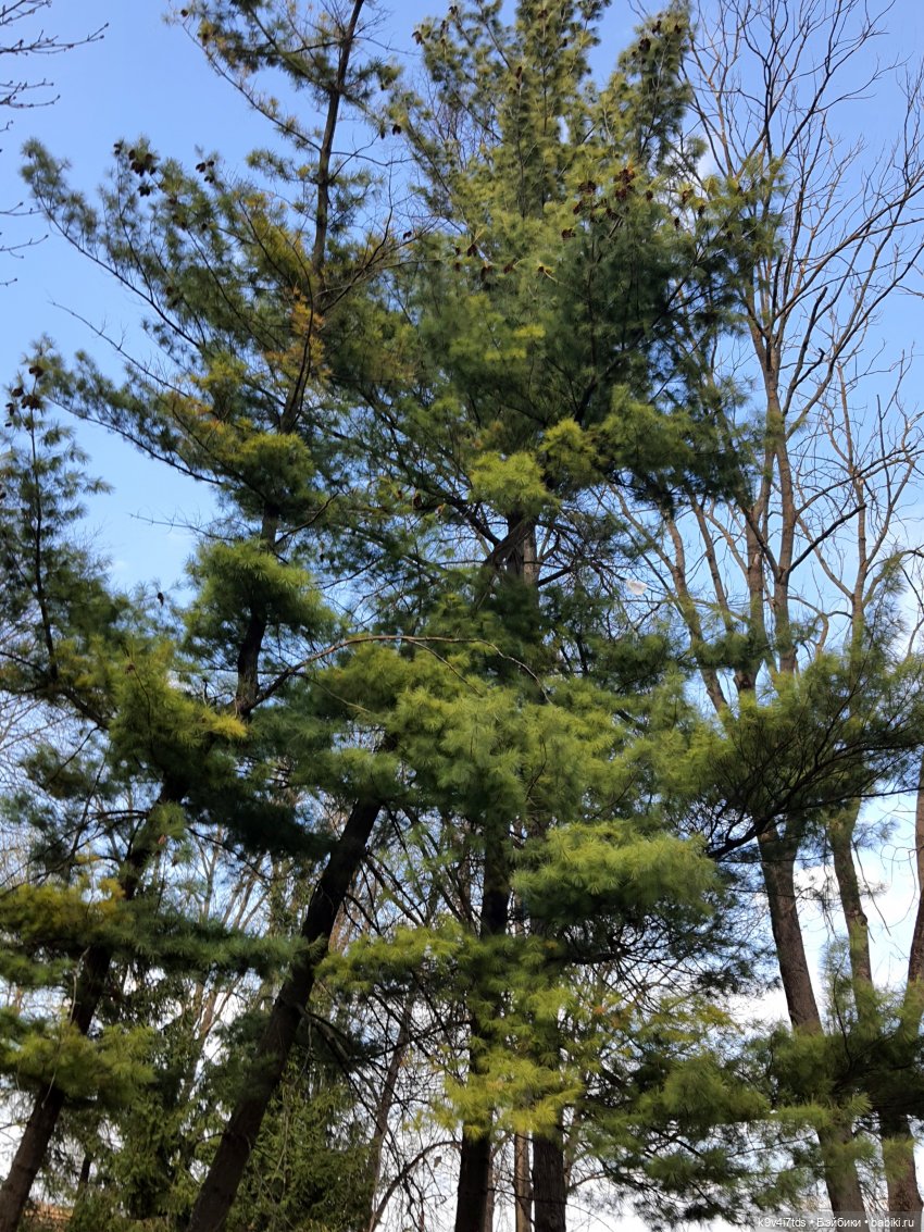 В Тверь пришла Весна — Туризм и путешествия: фотоотчеты из поездок