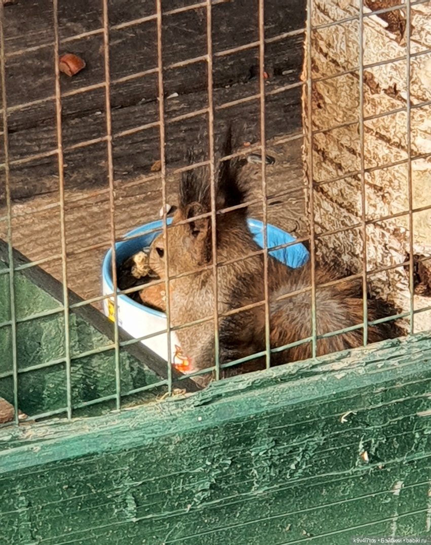 В Тверь пришла Весна — Туризм и путешествия: фотоотчеты из поездок