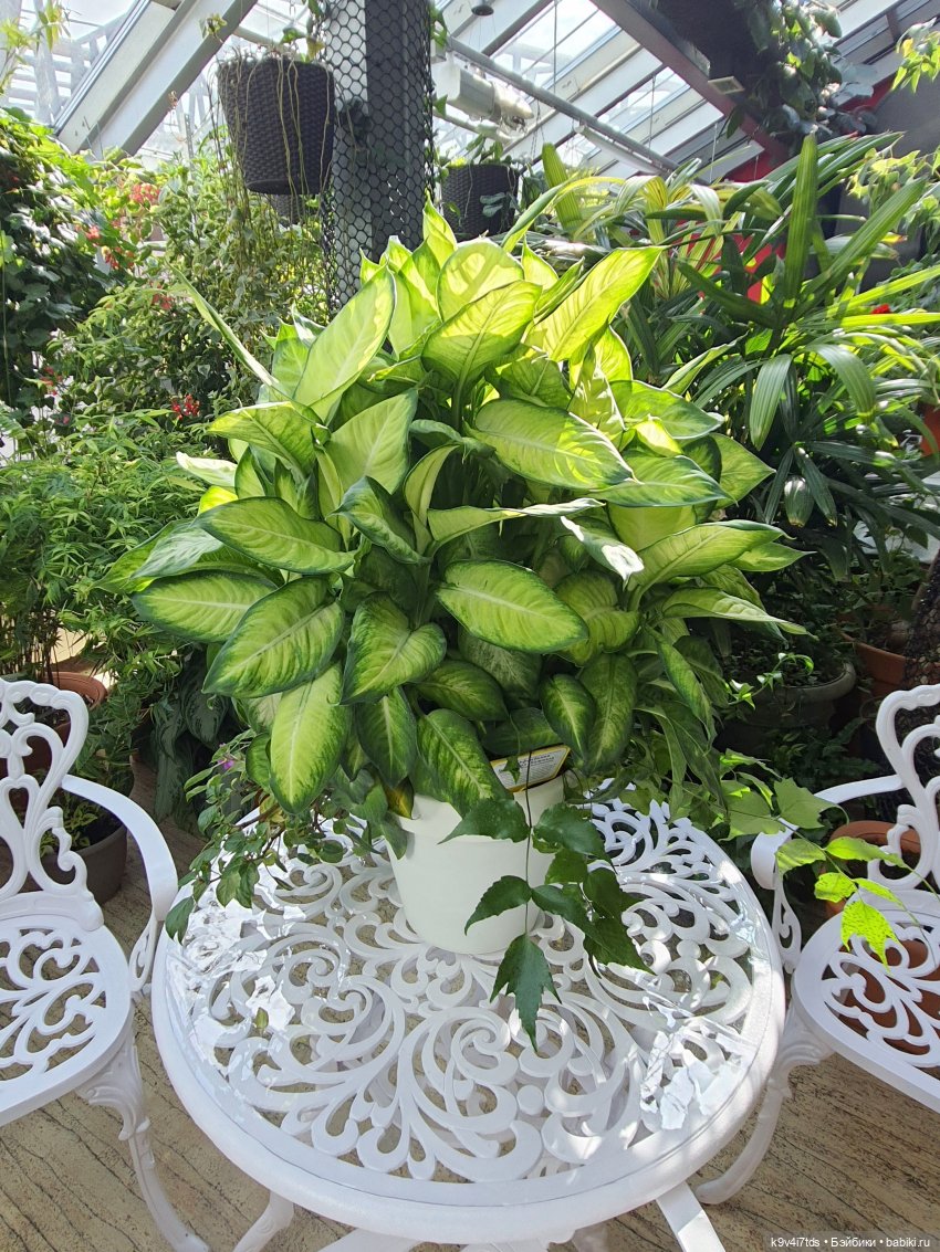 В Тверь пришла Весна — Туризм и путешествия: фотоотчеты из поездок