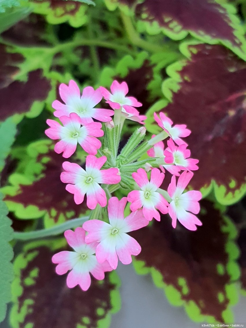 В Тверь пришла Весна — Туризм и путешествия: фотоотчеты из поездок