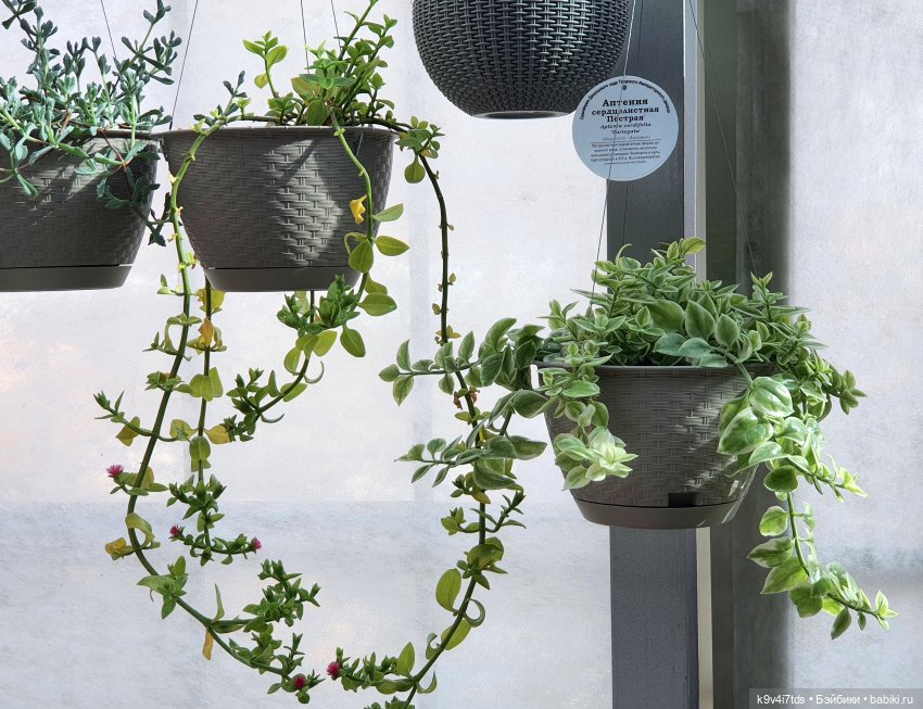 В Тверь пришла Весна — Туризм и путешествия: фотоотчеты из поездок