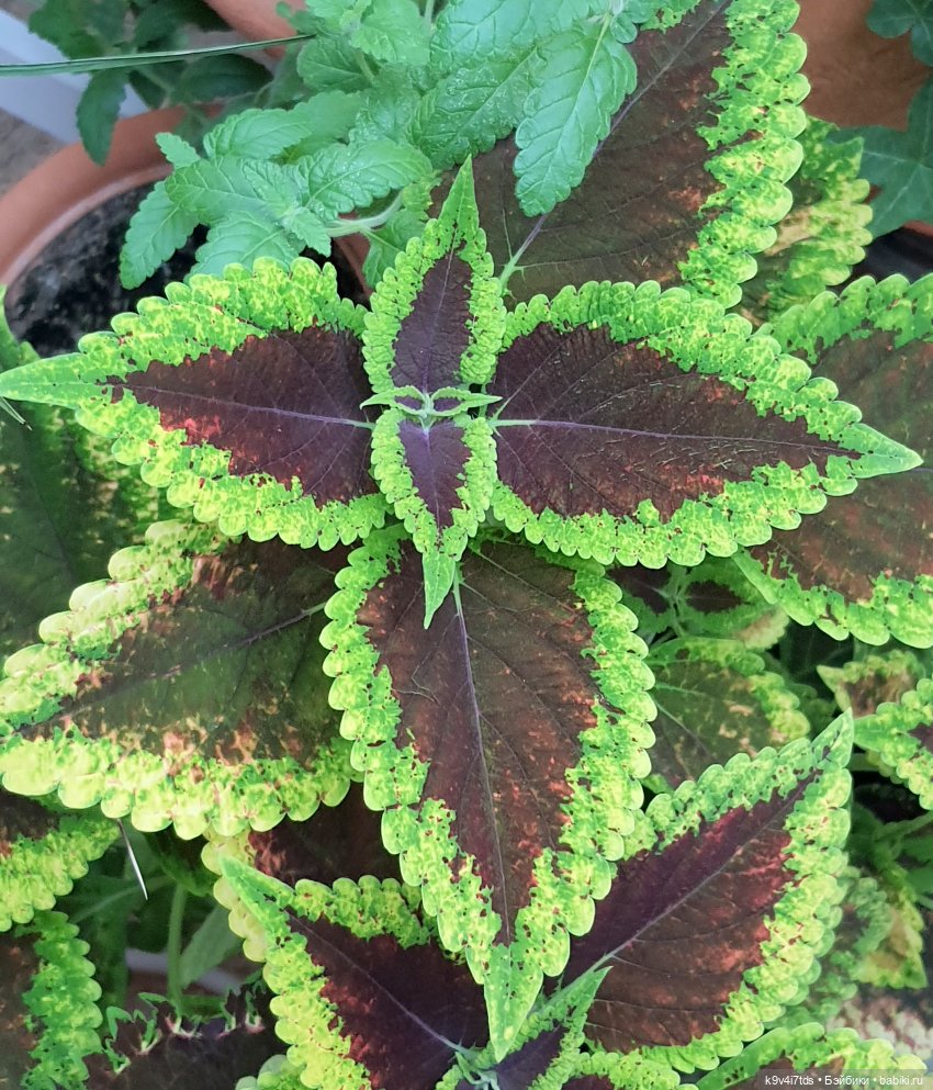 В Тверь пришла Весна — Туризм и путешествия: фотоотчеты из поездок