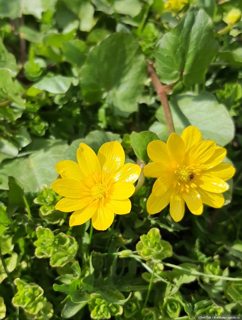 В Тверь пришла Весна — Туризм и путешествия: фотоотчеты из поездок