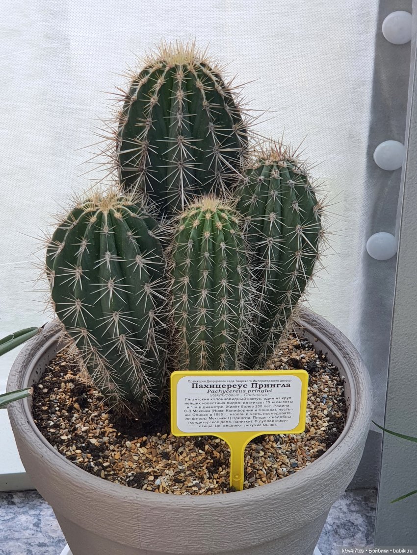 В Тверь пришла Весна — Туризм и путешествия: фотоотчеты из поездок