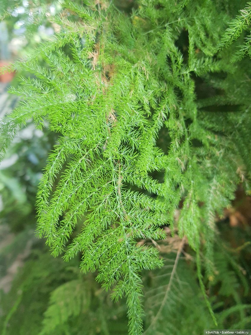 В Тверь пришла Весна — Туризм и путешествия: фотоотчеты из поездок