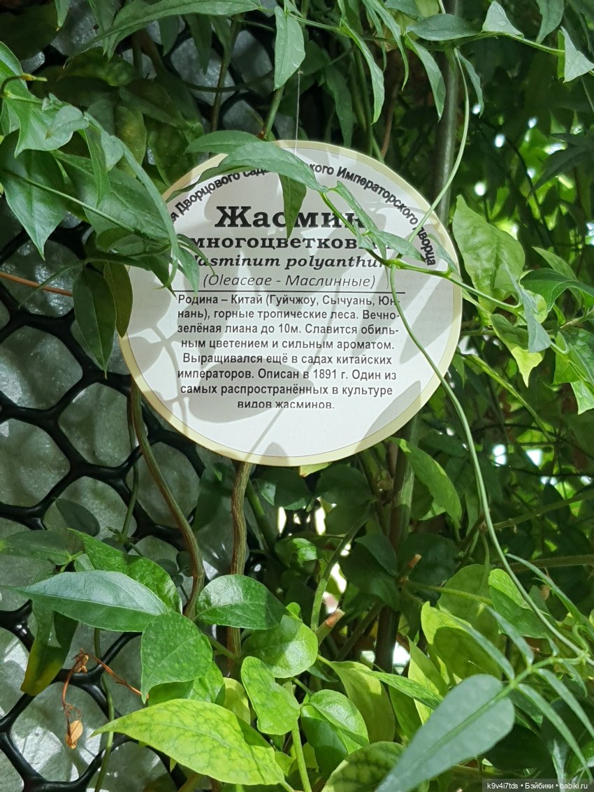 В Тверь пришла Весна — Туризм и путешествия: фотоотчеты из поездок