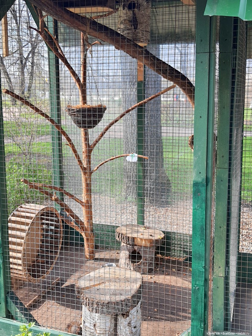 В Тверь пришла Весна — Туризм и путешествия: фотоотчеты из поездок