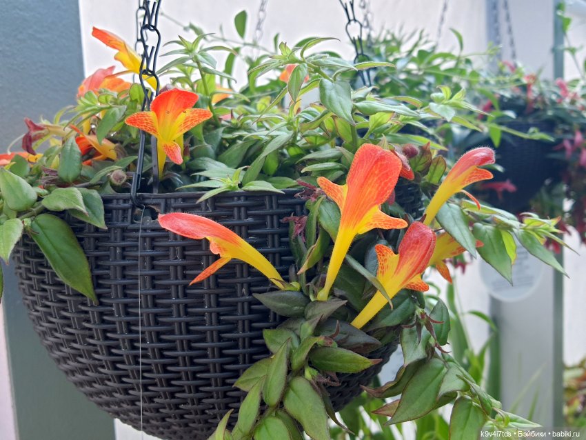 В Тверь пришла Весна — Туризм и путешествия: фотоотчеты из поездок