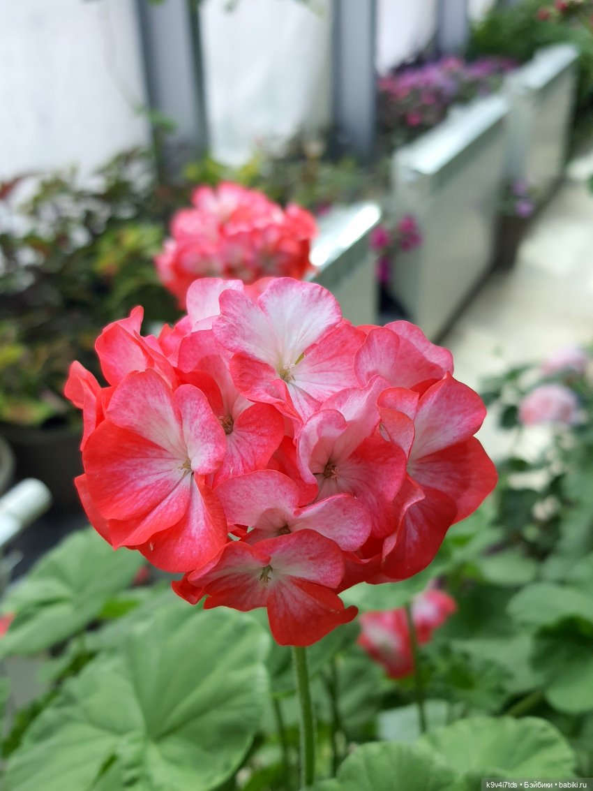 В Тверь пришла Весна — Туризм и путешествия: фотоотчеты из поездок