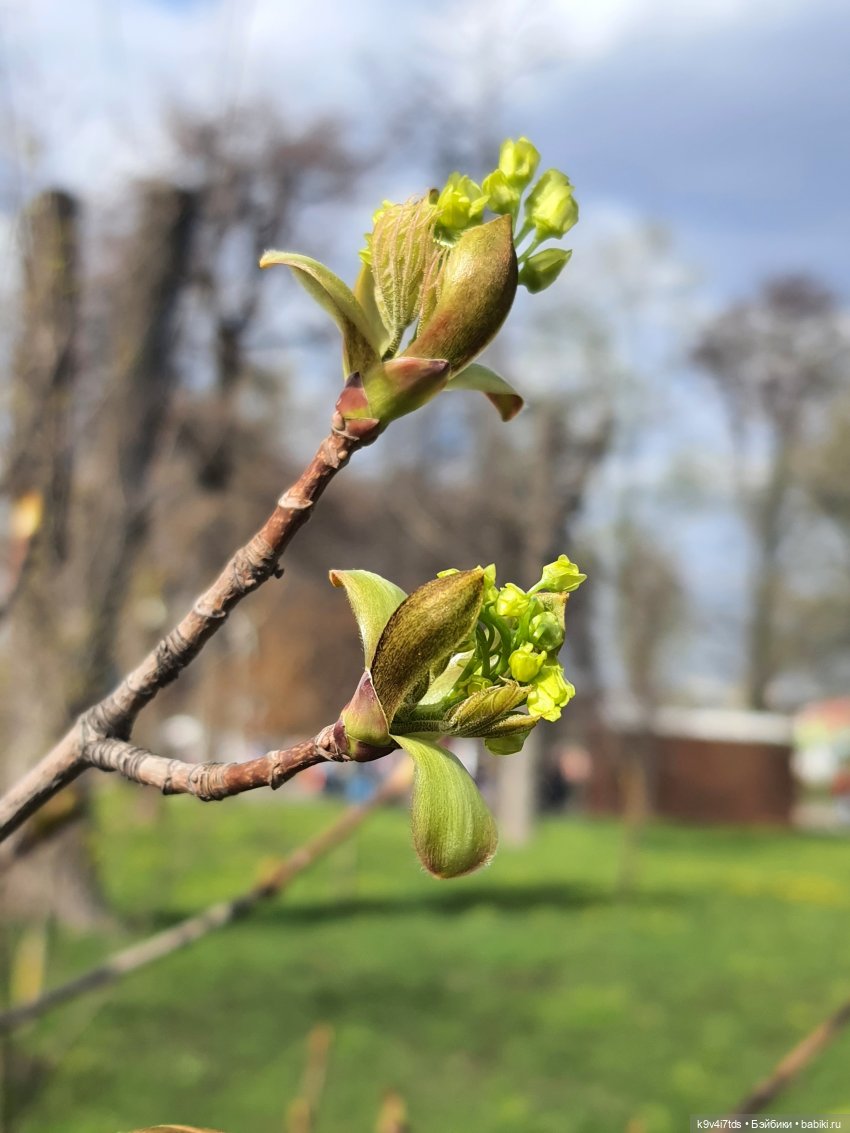 В Тверь пришла Весна — Туризм и путешествия: фотоотчеты из поездок