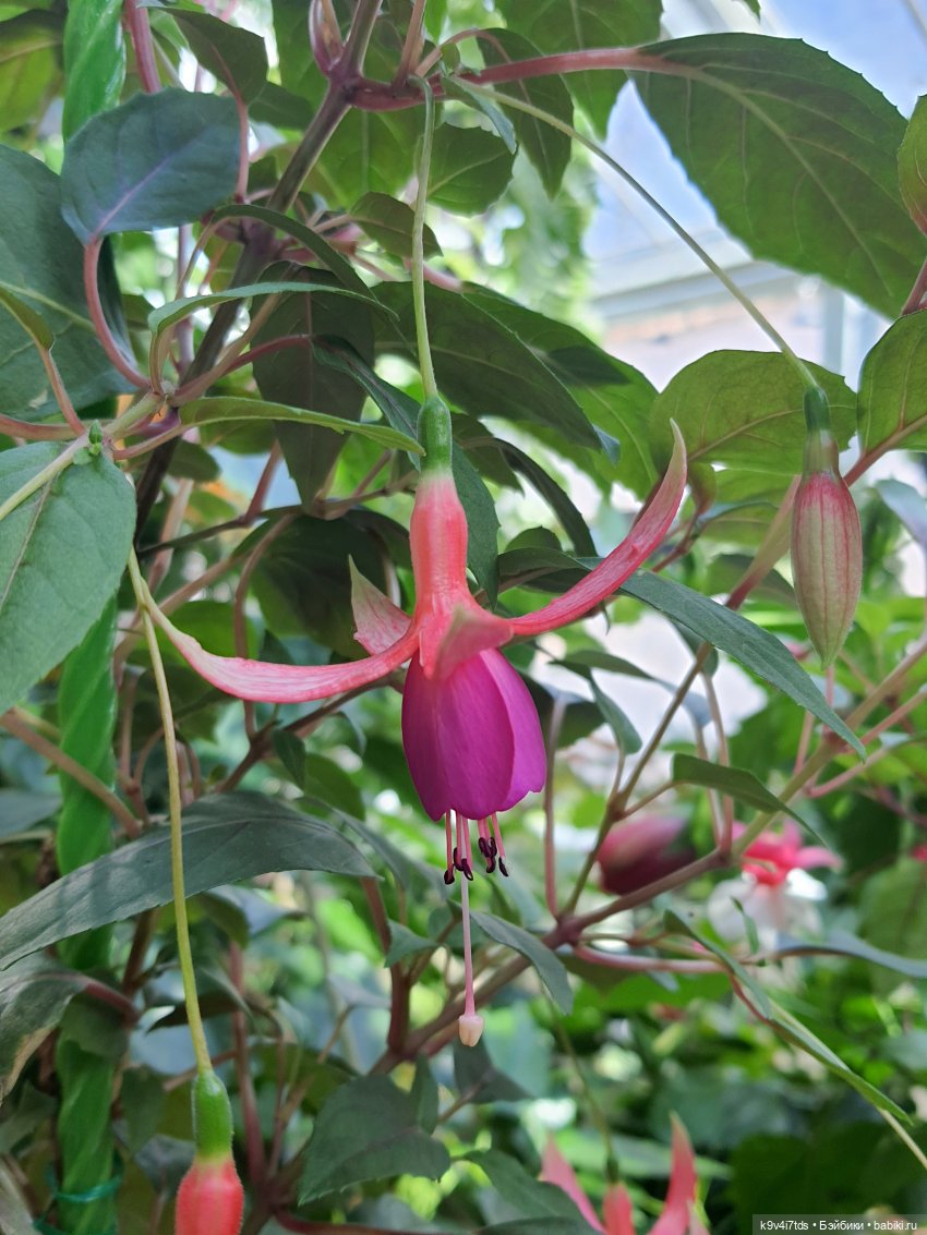 В Тверь пришла Весна — Туризм и путешествия: фотоотчеты из поездок