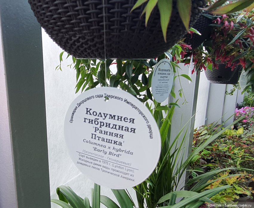 В Тверь пришла Весна — Туризм и путешествия: фотоотчеты из поездок