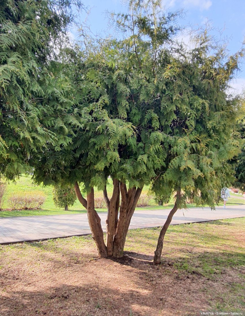 В Тверь пришла Весна — Туризм и путешествия: фотоотчеты из поездок