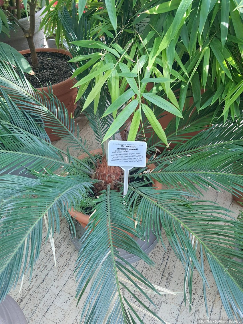 В Тверь пришла Весна — Туризм и путешествия: фотоотчеты из поездок