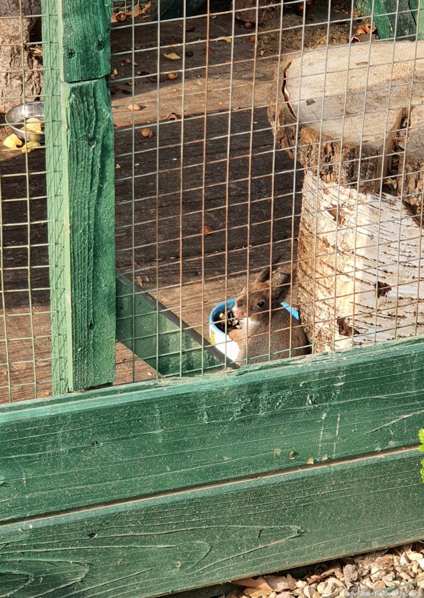 В Тверь пришла Весна — Туризм и путешествия: фотоотчеты из поездок