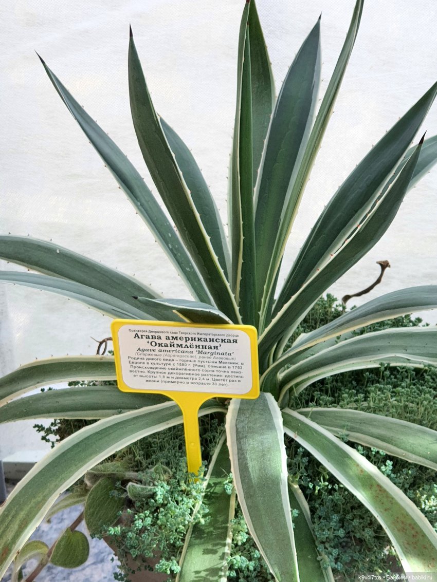 В Тверь пришла Весна — Туризм и путешествия: фотоотчеты из поездок