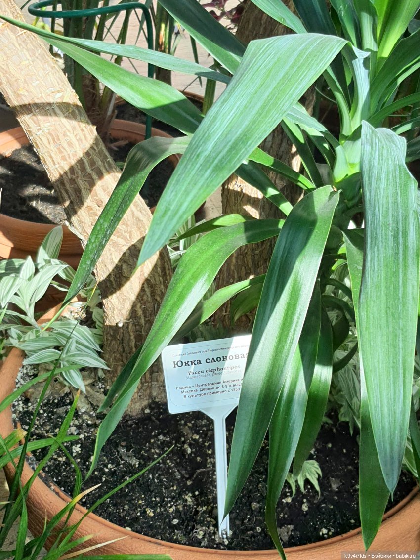 В Тверь пришла Весна — Туризм и путешествия: фотоотчеты из поездок