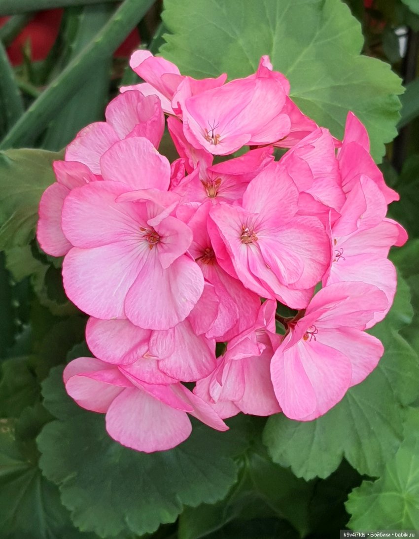 В Тверь пришла Весна — Туризм и путешествия: фотоотчеты из поездок