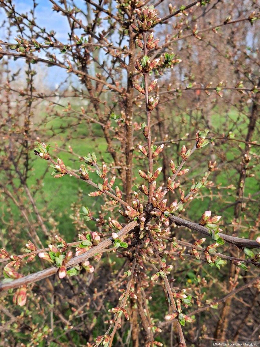 В Тверь пришла Весна — Туризм и путешествия: фотоотчеты из поездок