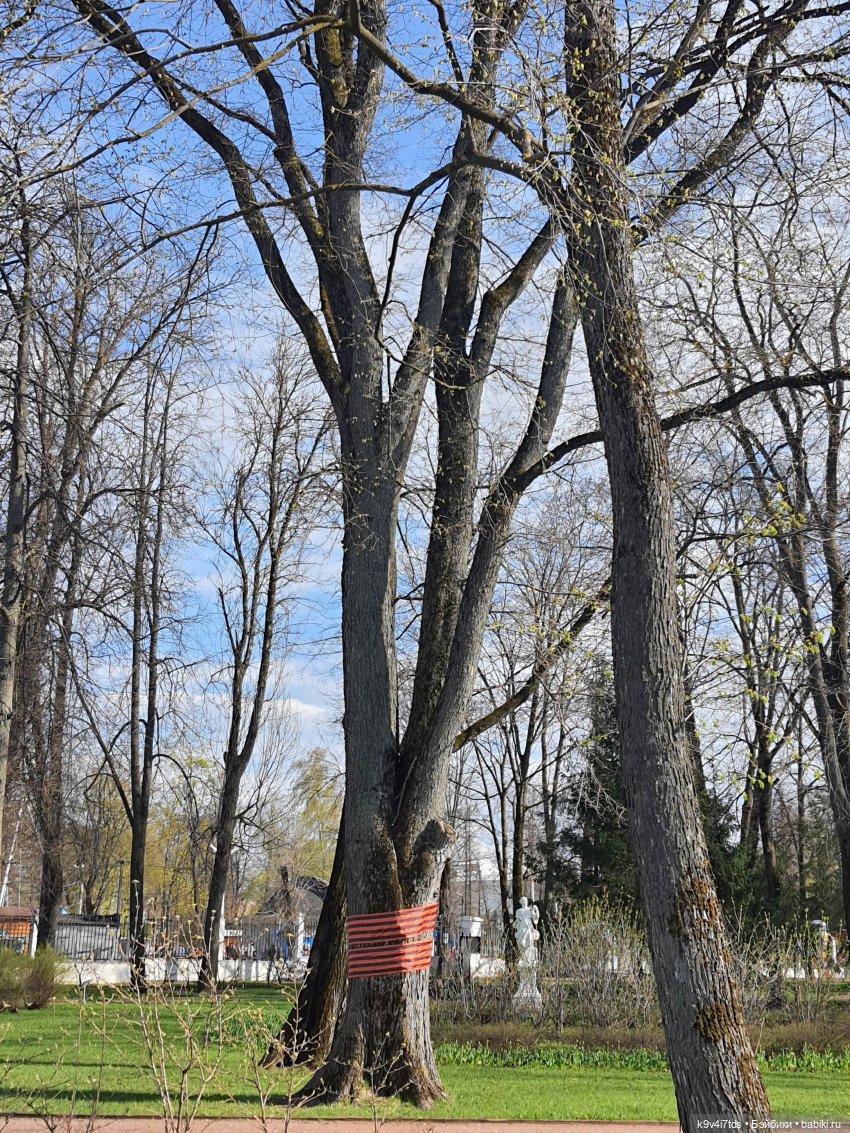 В Тверь пришла Весна — Туризм и путешествия: фотоотчеты из поездок
