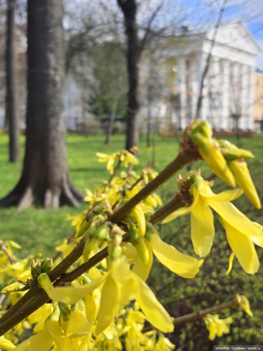 В Тверь пришла Весна — Туризм и путешествия: фотоотчеты из поездок