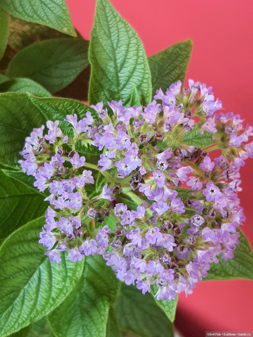 В Тверь пришла Весна — Туризм и путешествия: фотоотчеты из поездок