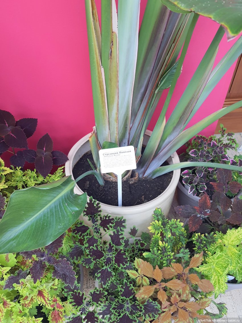 В Тверь пришла Весна — Туризм и путешествия: фотоотчеты из поездок