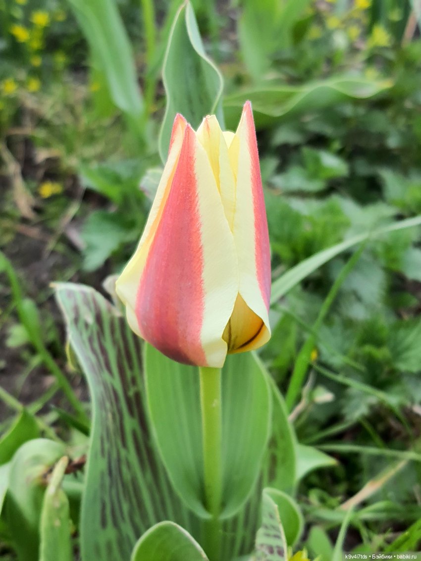 В Тверь пришла Весна — Туризм и путешествия: фотоотчеты из поездок