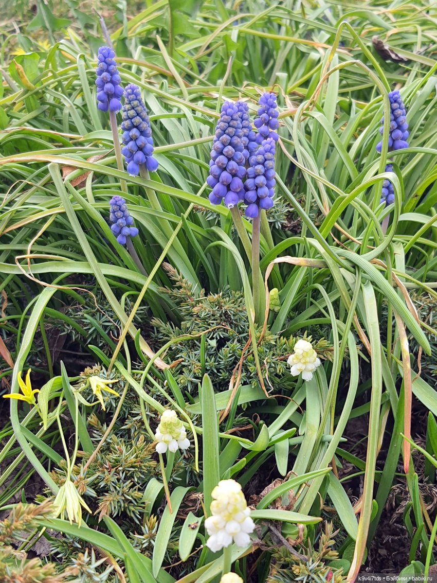 В Тверь пришла Весна — Туризм и путешествия: фотоотчеты из поездок