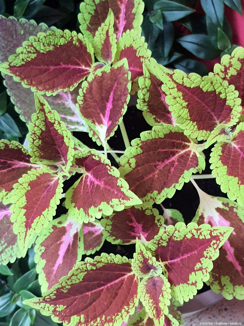 В Тверь пришла Весна — Туризм и путешествия: фотоотчеты из поездок