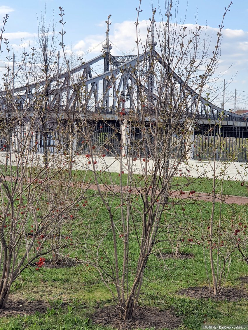 В Тверь пришла Весна — Туризм и путешествия: фотоотчеты из поездок