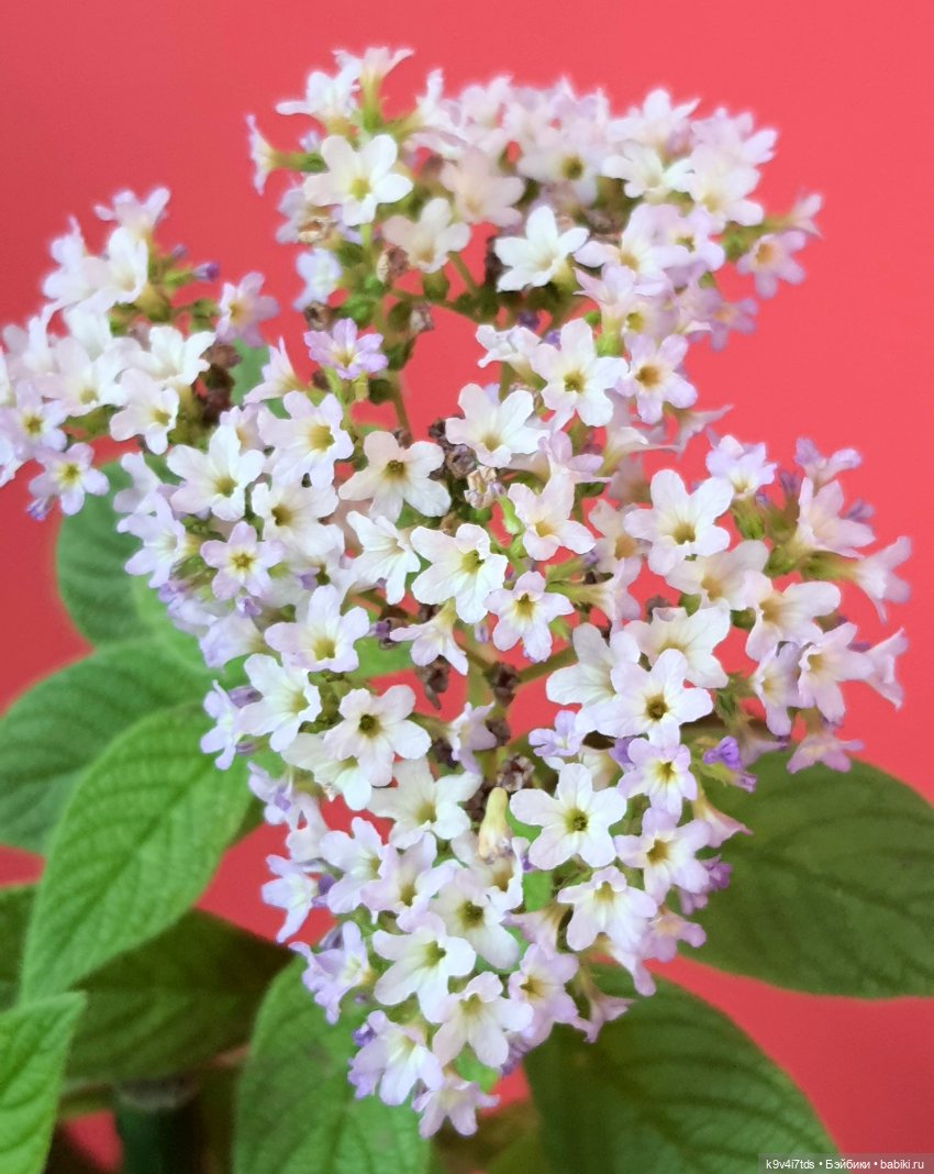 В Тверь пришла Весна — Туризм и путешествия: фотоотчеты из поездок