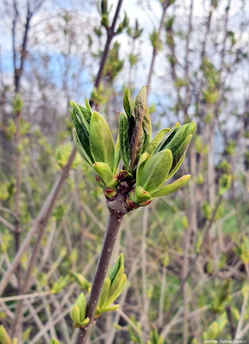В Тверь пришла Весна — Туризм и путешествия: фотоотчеты из поездок