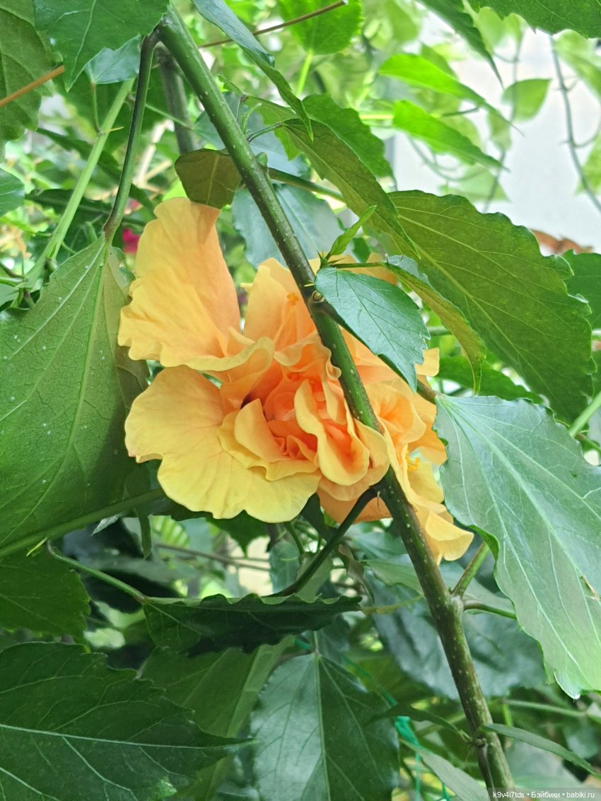 В Тверь пришла Весна — Туризм и путешествия: фотоотчеты из поездок