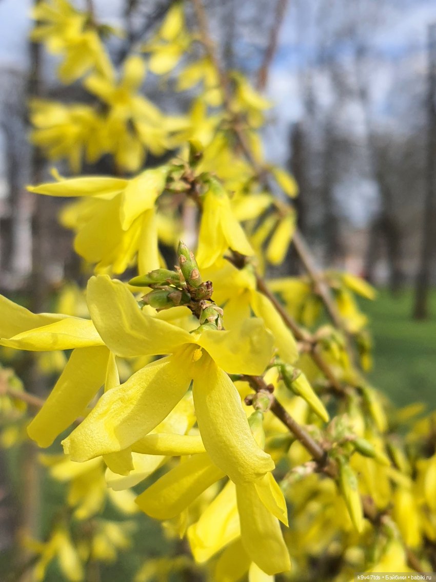 В Тверь пришла Весна — Туризм и путешествия: фотоотчеты из поездок