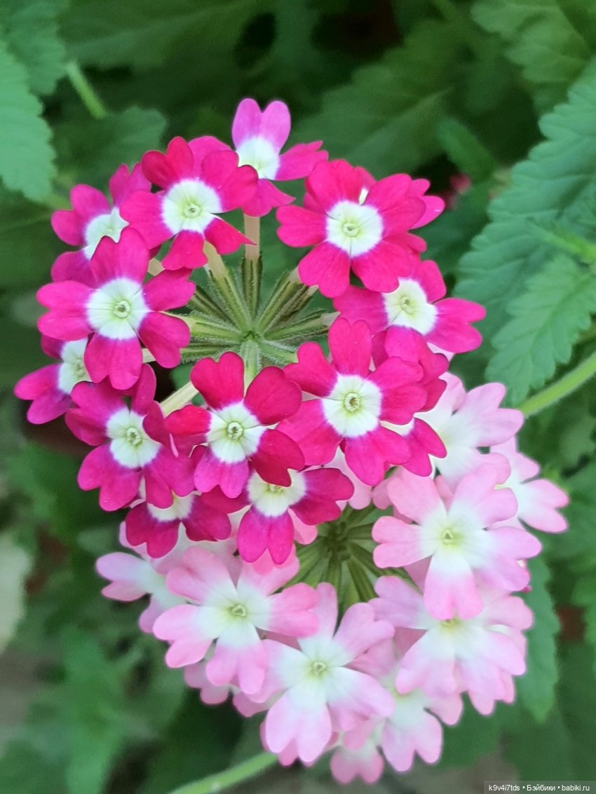 В Тверь пришла Весна — Туризм и путешествия: фотоотчеты из поездок