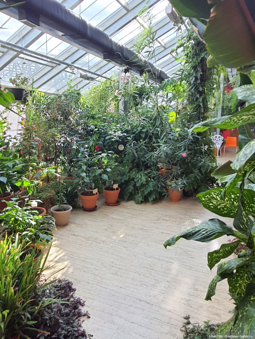 В Тверь пришла Весна — Туризм и путешествия: фотоотчеты из поездок