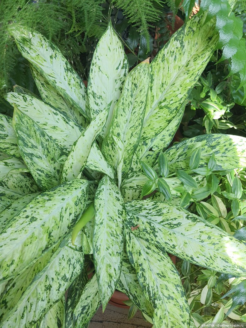 В Тверь пришла Весна — Туризм и путешествия: фотоотчеты из поездок