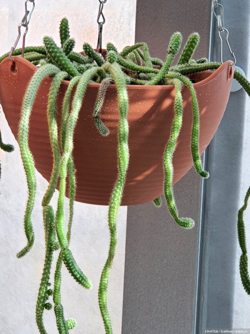 В Тверь пришла Весна — Туризм и путешествия: фотоотчеты из поездок