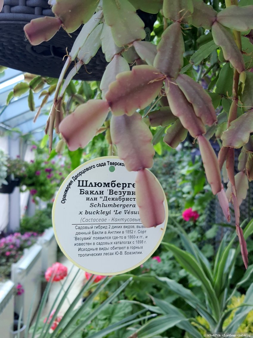 В Тверь пришла Весна — Туризм и путешествия: фотоотчеты из поездок