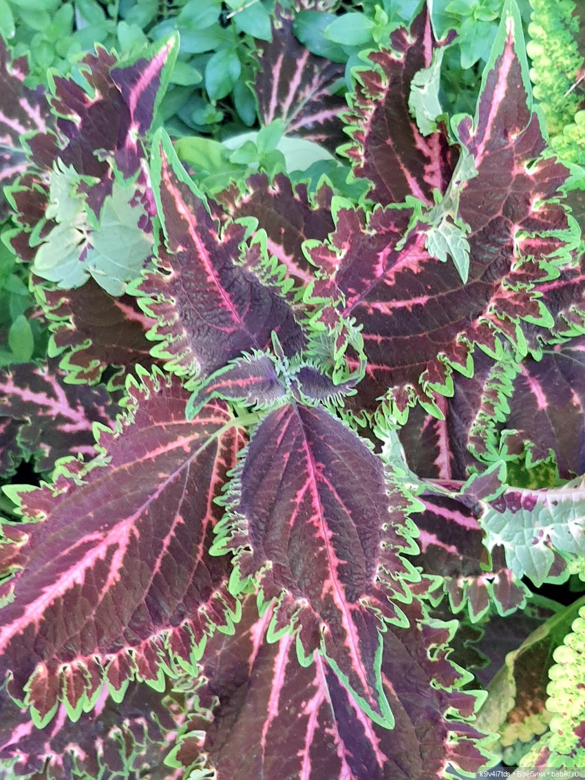 В Тверь пришла Весна — Туризм и путешествия: фотоотчеты из поездок