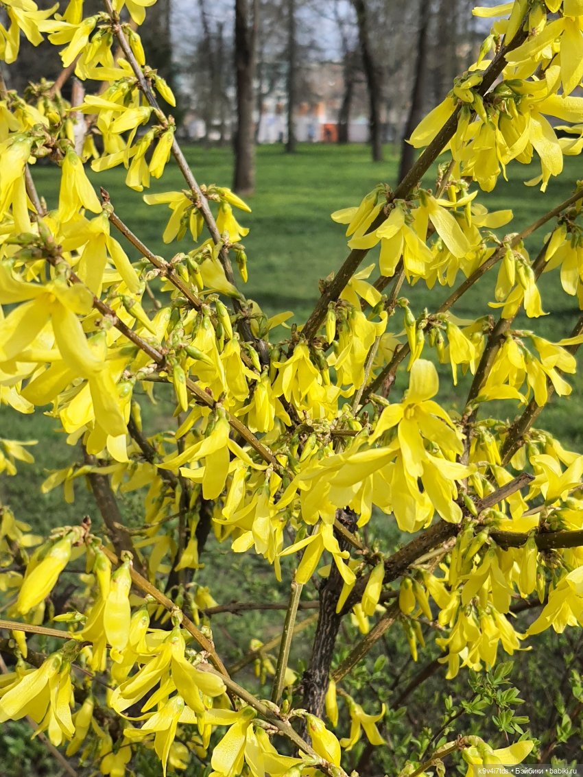 В Тверь пришла Весна — Туризм и путешествия: фотоотчеты из поездок