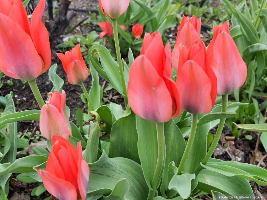 В Тверь пришла Весна — Туризм и путешествия: фотоотчеты из поездок