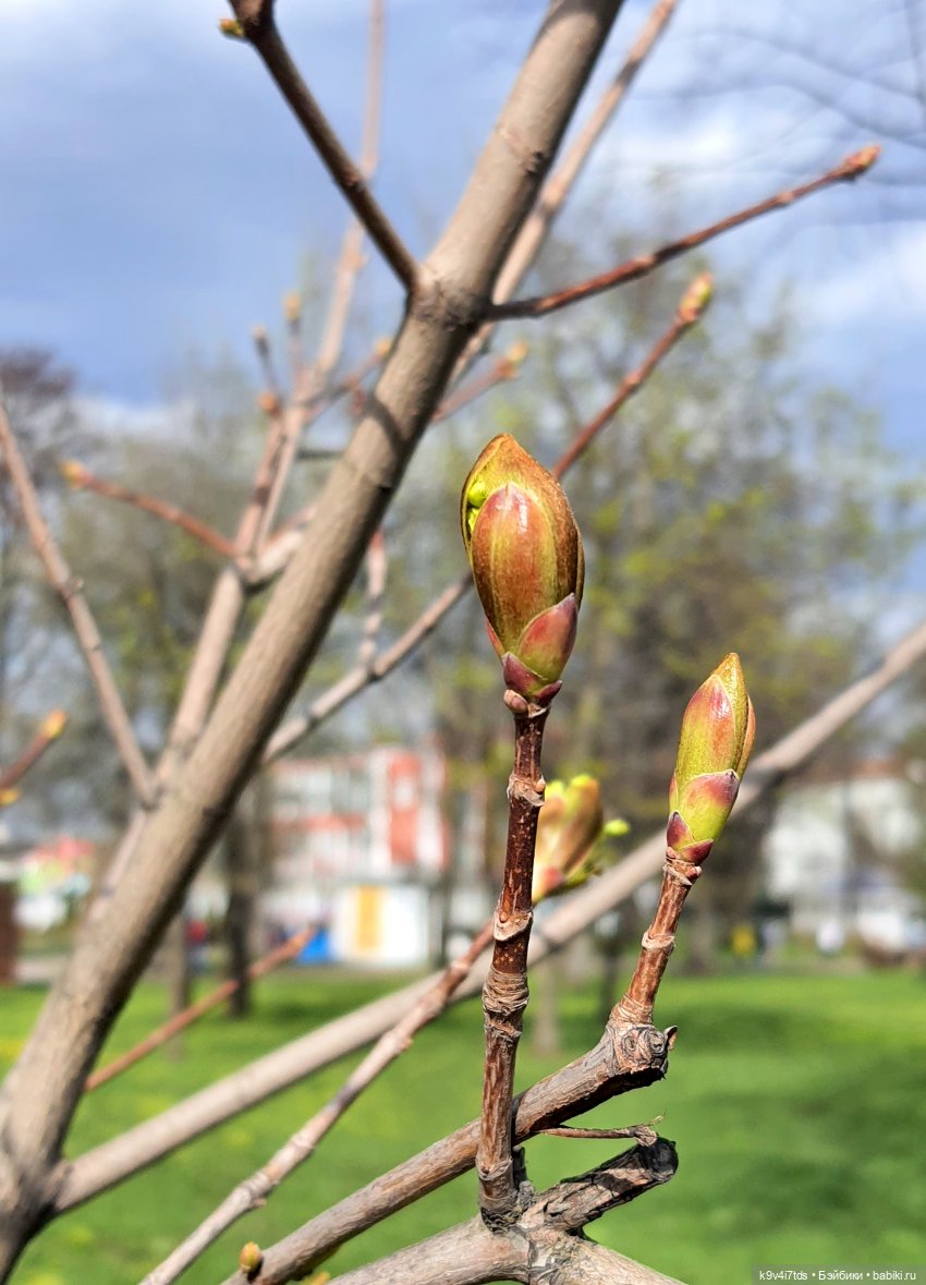 В Тверь пришла Весна — Туризм и путешествия: фотоотчеты из поездок
