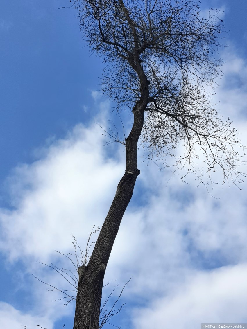 В Тверь пришла Весна — Туризм и путешествия: фотоотчеты из поездок