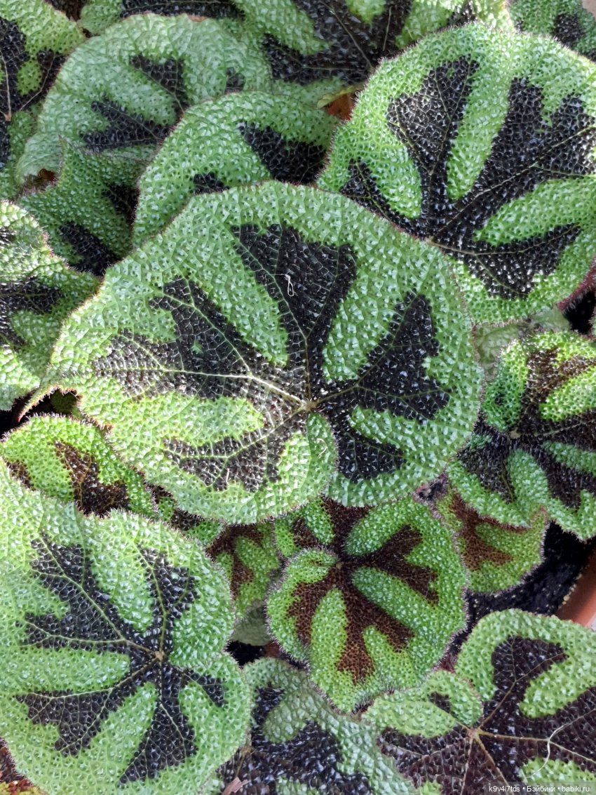 В Тверь пришла Весна — Туризм и путешествия: фотоотчеты из поездок