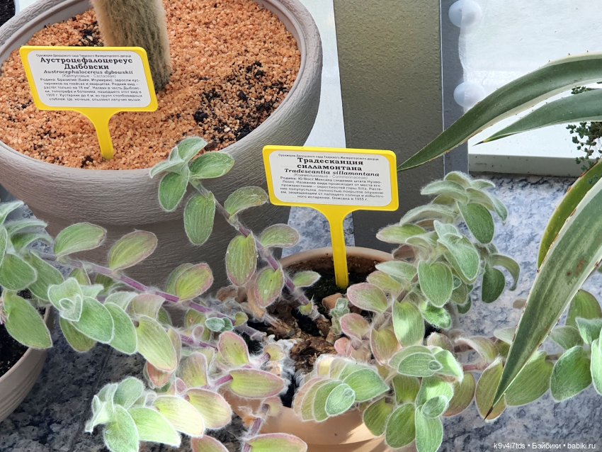 В Тверь пришла Весна — Туризм и путешествия: фотоотчеты из поездок